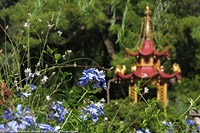 Villa Durazzo-Pallavicini - Pagoda.