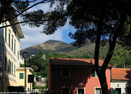 Riviera 2021 - Ceriale.