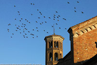 Basiliche e abbazie - Abbazia del Cerreto.