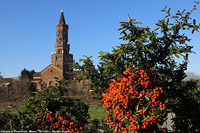 Milano 2021 - Abbazia di Chiaravalle.