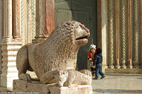 Paesaggi - Modena.