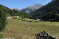 Cogne e Valnontey - Cogne.