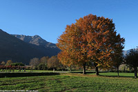 Autunno alle porte della Valle - Borgofranco.