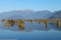 Intermezzo torbiere - Torbiere di Provaglio.