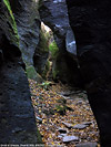 Ossola d'estate - Orridi di Uriezzo.