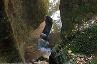 Ossola d'estate - Orridi di Uriezzo.