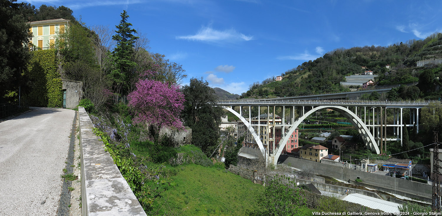 Voltri - Viadotto Leira.