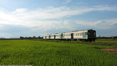 La terra e la ferrovia - S.Bernardino.