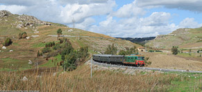 Historical - Favarotta.