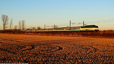 La terra e la ferrovia - Certosa di Pavia.