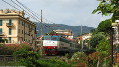 Ancora Riviera - Alassio.