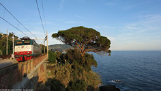 Levante - Sori.