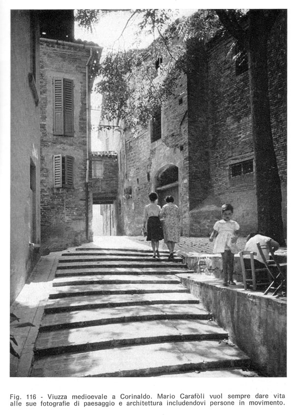 Le immagini di Mario Carafli - Corinaldo (AN).