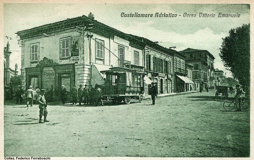 Filovie primordiali - Castellamare.