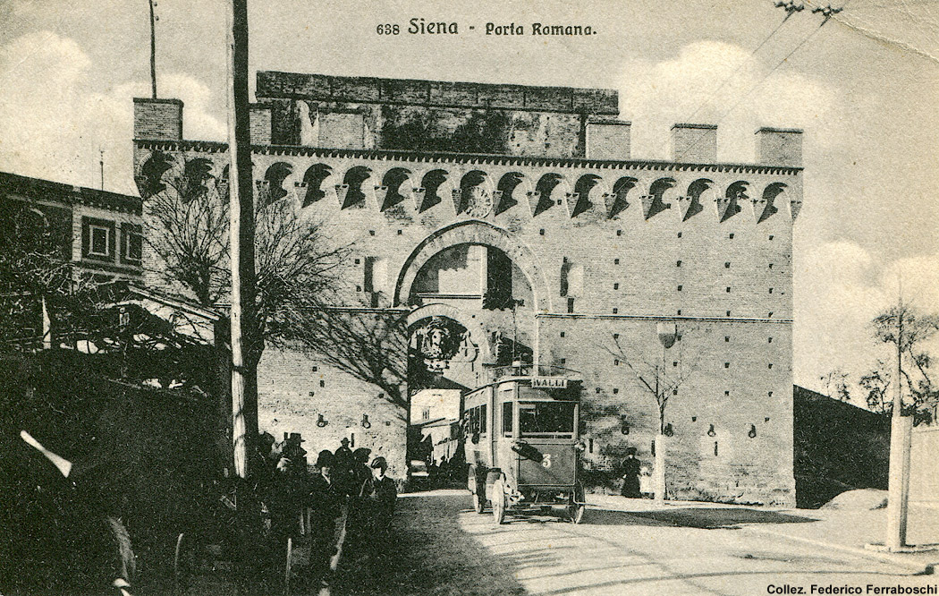 Filovie primordiali - Siena.