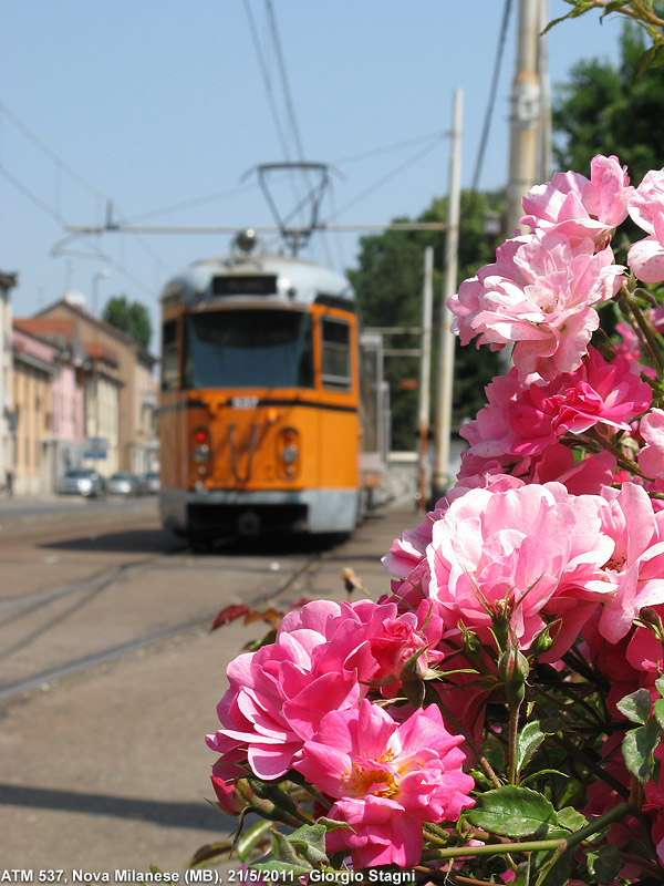 Colori in citt - Nova.