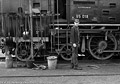 Veluwsche Stoomtrein Maatschappij - Steam Festival - DB 65 018.