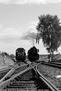 Veluwsche Stoomtrein Maatschappij - Steam Festival - DB 50 0073.