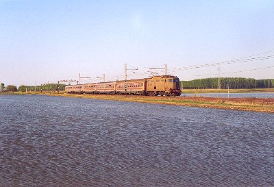 424olev_.jpg