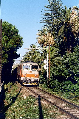 445fedg_.jpg