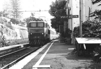 ligsste_.jpg