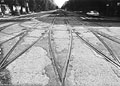 Milano, degrado di una citt - 