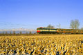 Classic Piemonte - Trinit