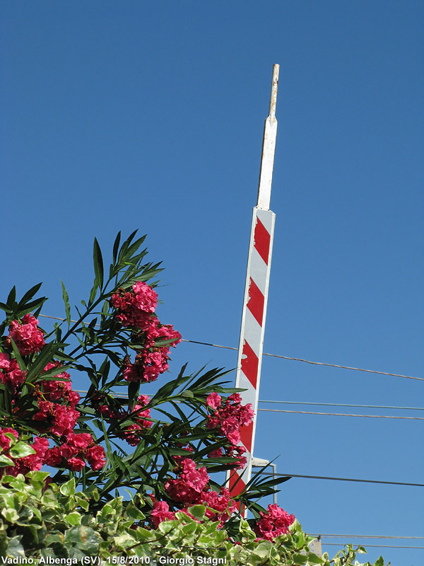 Mediterraneo - Albenga.