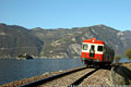 SNFT Classic - I colori sono tornati!