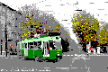 Tram (titolo della sezione) - Torino.