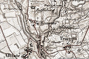 Carte di Giovanni Brenna, 1850 - Triuggio e Albiate.